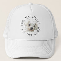 Jag älskar min lilla vita hund - Malteser