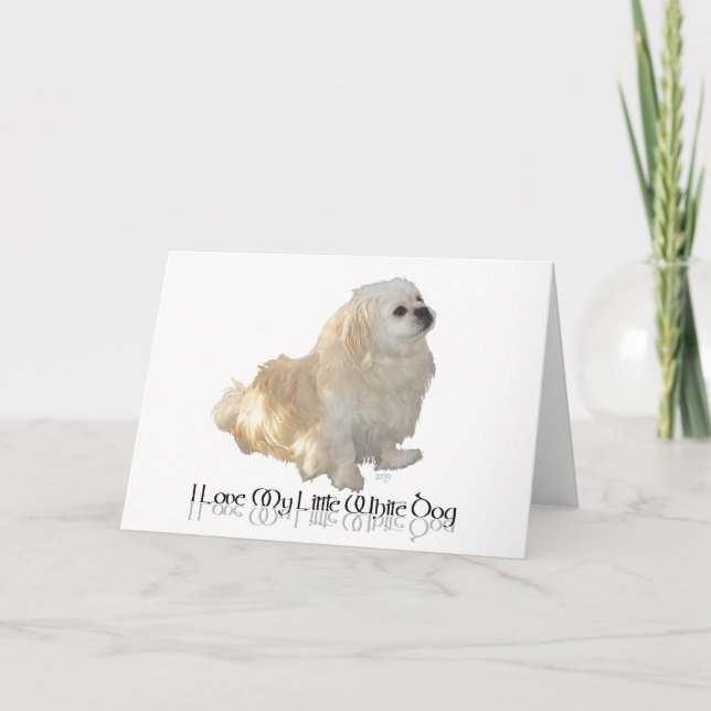 Jag älskar min lilla vita hund - Pekingese ! Kort (Framsida)