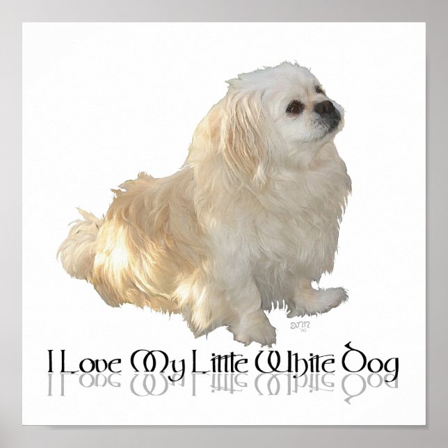 Jag älskar min lilla vita hund - Pekingese ! Poster (Framsidan)