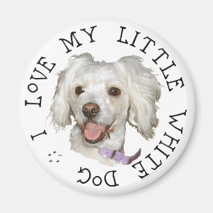 Jag älskar min lilla vita hund Poodle / Bichon Mix Magnet