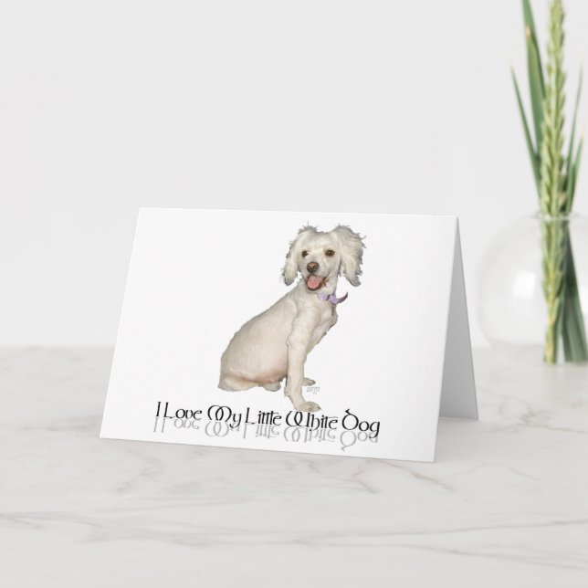 Jag älskar min lilla vita hund - Pudel / Bichon Mi Kort (Framsida)