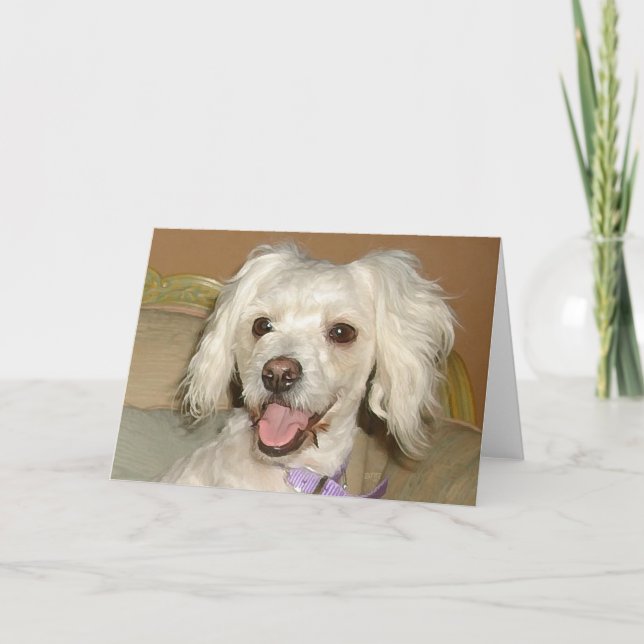 Jag älskar min lilla vita hund Pudel / Bichon mix Kort (Framsida)