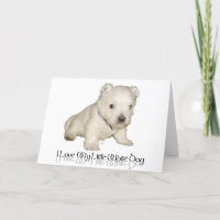 Jag älskar min lilla vita hund - Westie-valp