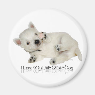 Jag älskar min lilla vita hund - Westie-valp Magnet