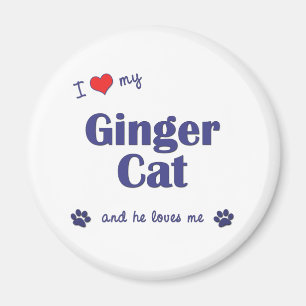 Jag älskar min ljust rödbrun katt (den Male Magnet