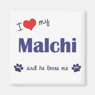 Jag älskar min Malchi (den Male hunden) Magnet