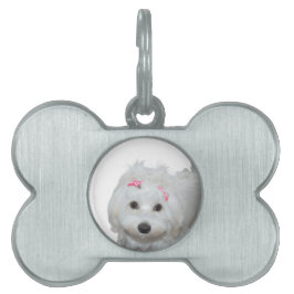 Jag älskar min malteser Lili  ID-bricka Husdjur