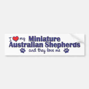 Jag älskar min mini- australian shepherd (mång- bildekal