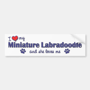 Jag älskar min miniatyr Labradoodle (den kvinnlig Bildekal