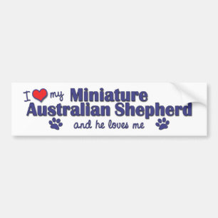 Jag älskar min miniatyraustralian shepherd (den bildekal