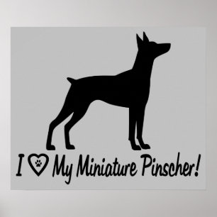 Jag älskar min miniatyrPinscher i Silhouette Poster