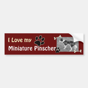 Jag älskar min miniatyrPinscherbildekal Bildekal