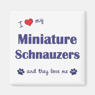 Jag älskar min miniatyrSchnauzers (åtskilliga Magnet