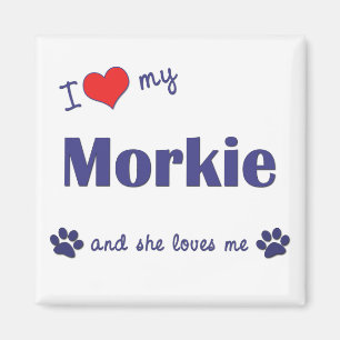 Jag älskar min Morkie (den kvinnliga hunden) Magnet