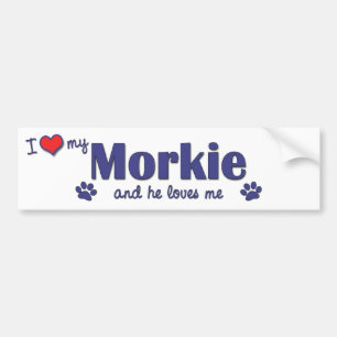 Jag älskar min Morkie (den Male hunden) Bildekal