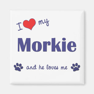 Jag älskar min Morkie (den Male hunden) Magnet