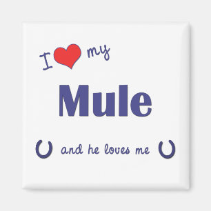 Jag älskar min Mule (den Male mulen) Magnet