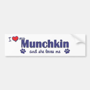 Jag älskar min Munchkin (den kvinnliga katten) Bildekal