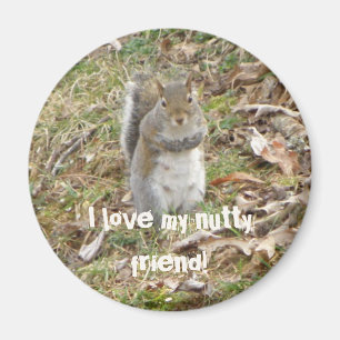 Jag älskar min nötliknande vän, ekorremagnet magnet
