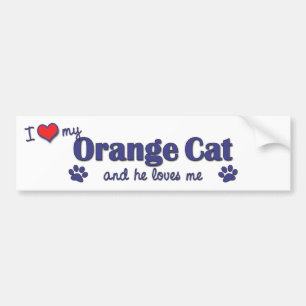 Jag älskar min orange katt (den Male katten) Bildekal