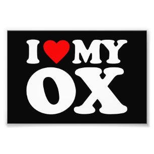 JAG ÄLSKAR MIN OXE FOTOTRYCK