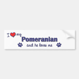 Jag älskar min Pomeranian (den Male hunden) Bildekal