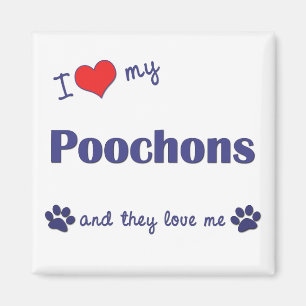 Jag älskar min Poochons (åtskilliga hundar) Magnet