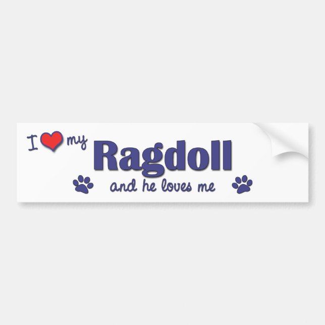 Jag älskar min Ragdoll (den Male katten) Bildekal (Framsidan)