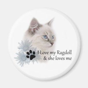 Jag älskar min ragdoll magnet