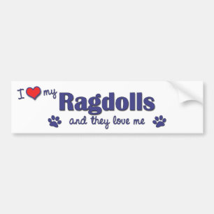 Jag älskar min Ragdolls (åtskilliga katter) Bildekal