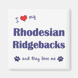 Jag älskar min Rhodesian Ridgebacks (åtskilliga Magnet