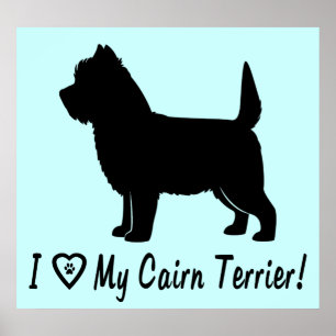Jag älskar min röseTerrier Poster