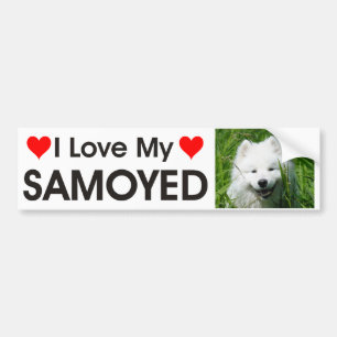 Jag älskar min Samoyedbildekal Bildekal