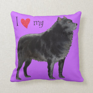 Jag älskar min Schipperke Kudde
