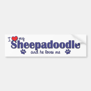 Jag älskar min Sheepadoodle (den Male hunden) Bildekal