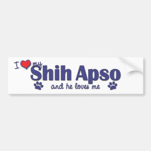 Jag älskar min Shih Apso (den Male hunden) Bildekal