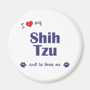 Jag älskar min Shih Tzu (den Male hunden) Magnet