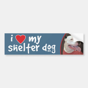 Jag älskar min skyddHund-Pitbullbildekal/dekal Bildekal