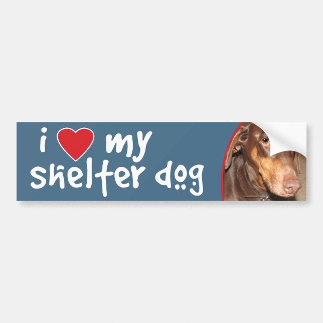 Jag älskar min skyddhundDoberman Bildekal (Framsidan)
