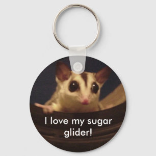 Jag älskar min sockerglidflygplan! keychain nyckelring