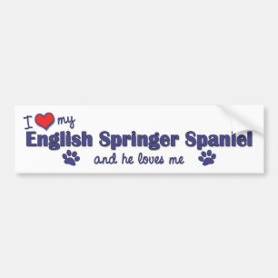 Jag älskar min Spaniel för den engelska springer Bildekal