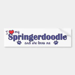 Jag älskar min Springerdoodle (den kvinnliga Bildekal