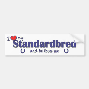 Jag älskar min Standardbred (den Male hästen) Bildekal