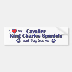 Jag älskar min stolt kung Charles (åtskilliga Bildekal