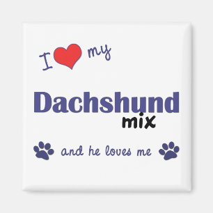 Jag älskar min taxblandning (den Male hunden) Magnet