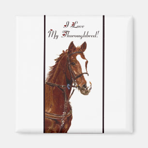 Jag älskar min Thoroughbred! Häst Magnet