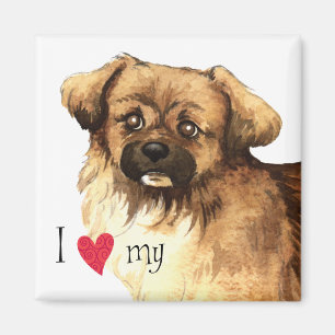 Jag älskar min tibetana Spaniel Magnet