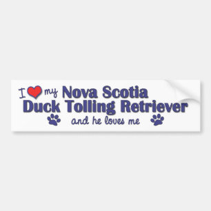 Jag älskar min Tolling Retriever för den Nova Bildekal