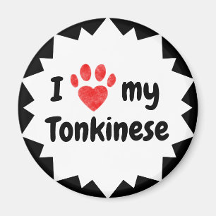 Jag älskar min Tonkinese katt Magnet