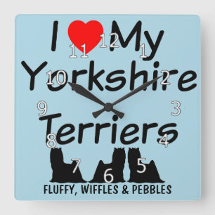 Jag älskar min TRE hundar för den Yorkshire Fyrkantig Klocka